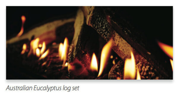 Rinnai 1250 - Gas Fireplace - Image 2